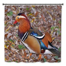 Mandarin Duck Searching Insect In The Foliage Bath Decor 101048698