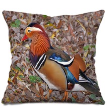Mandarin Duck Searching Insect In The Foliage Pillows 101048698