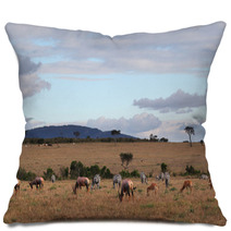 Masai Mara - Kenya Pillows 64958832