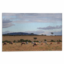 Masai Mara - Kenya Rugs 64958832