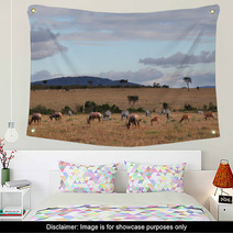 Masai Mara - Kenya Wall Art 64958832