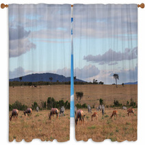 Masai Mara - Kenya Window Curtains 64958832