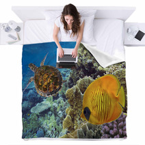 Masked Butterfly Fish And Turtle Blankets 69870537