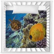 Masked Butterfly Fish And Turtle Nursery Decor 69870537