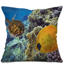 Masked Butterfly Fish And Turtle Pillows 69870537