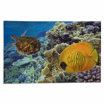 Masked Butterfly Fish And Turtle Rugs 69870537