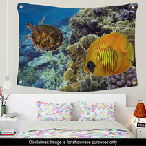 Masked Butterfly Fish And Turtle Wall Art 69870537