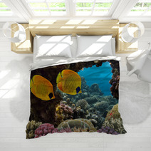 Masked Butterfly Fish Bedding 68564528