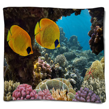Masked Butterfly Fish Blankets 68564528