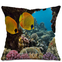 Masked Butterfly Fish Pillows 68564528