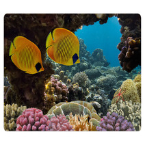 Masked Butterfly Fish Rugs 68564528