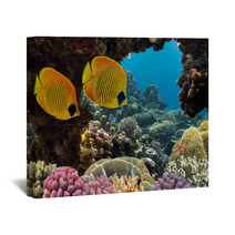 Masked Butterfly Fish Wall Art 68564528