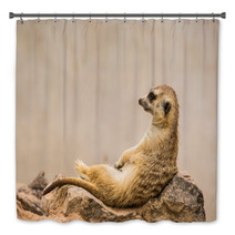 Meerkat Is Sitting. Bath Decor 63901054