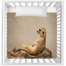 Meerkat Is Sitting. Nursery Decor 63901054