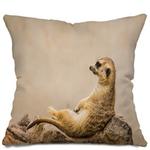 Meerkat Is Sitting. Pillows 63901054