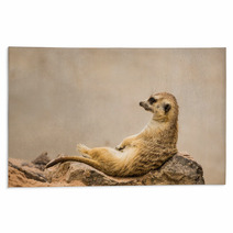 Meerkat Is Sitting. Rugs 63901054