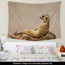 Meerkat Is Sitting. Wall Art 63901054