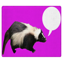 Message From Skunk Rugs 1748888