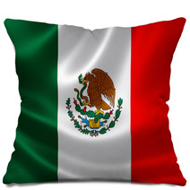Mexico's Flag Pillows 68744626