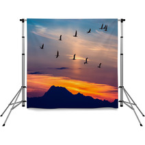 Migratory Birds Flying At Sunset Backdrops 91528916