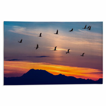 Migratory Birds Flying At Sunset Rugs 91528916