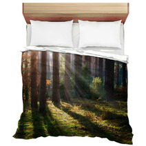 Misty Old Forest. Autumn Woods Bedding 57904725