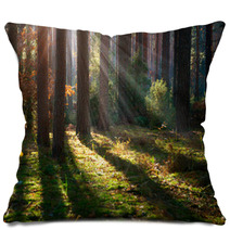 Misty Old Forest. Autumn Woods Pillows 57904725