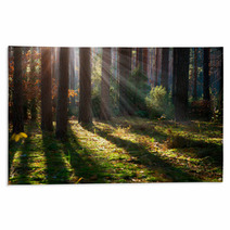 Misty Old Forest. Autumn Woods Rugs 57904725