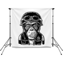 Monkey In The Motorcycle Helmet And Glasses Vintage Black Engraving Backdrops 147225892