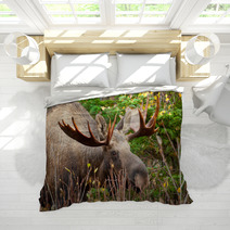 Moose Bull Closeup, Alaska Bedding 61728040