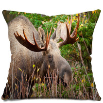 Moose Bull Closeup, Alaska Pillows 61728040