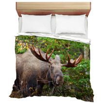 Moose Bull, Male, Alaska, USA Bedding 59220128