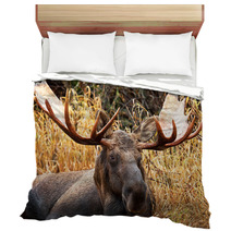 Moose Bull Portrait/ Male, Alaska, USA Bedding 58265359