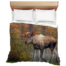 Moose Bull Walking, Male, Alaska, USA Bedding 58265269