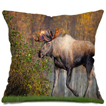Moose Bull Walking, Male, Alaska, USA Pillows 58265269