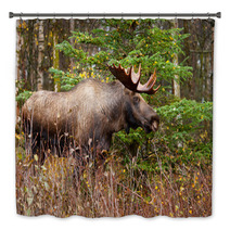 Moose Bull With Big Antlers Blowing Steam, Male, Alaska, USA Bath Decor 59194224