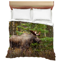 Moose Bull With Big Antlers Blowing Steam, Male, Alaska, USA Bedding 59194224