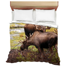 Moose Eating A Meal In Alaska Bedding 2969321
