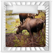 Moose Eating A Meal In Alaska Nursery Decor 2969321