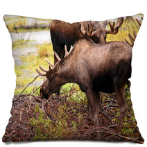 Moose Eating A Meal In Alaska Pillows 2969321