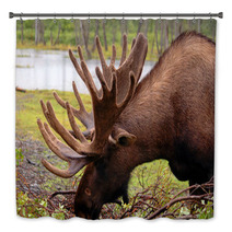 Moose In Alaska Bath Decor 2957782