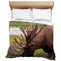 Moose In Alaska Bedding 2957782
