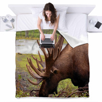 Moose In Alaska Blankets 2957782