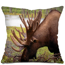 Moose In Alaska Pillows 2957782