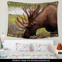 Moose In Alaska Wall Art 2957782