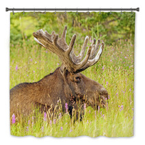 Moose In The Meadow Bath Decor 52155880