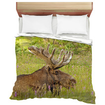 Moose In The Meadow Bedding 52155880