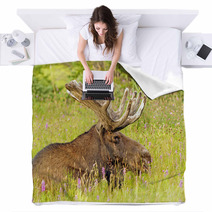 Moose In The Meadow Blankets 52155880