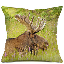 Moose In The Meadow Pillows 52155880