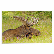 Moose In The Meadow Rugs 52155880